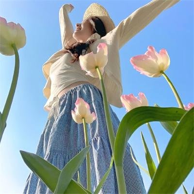 甄嬛传